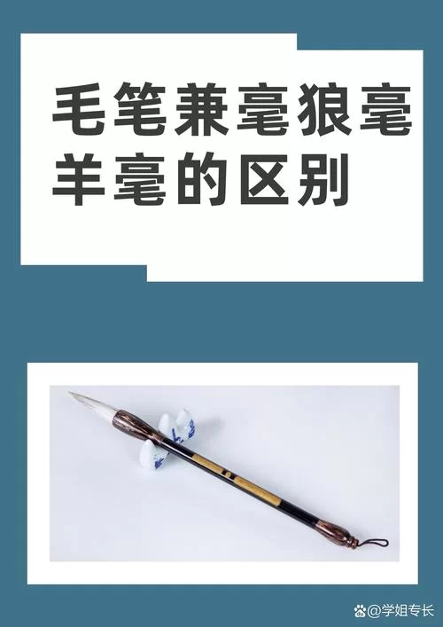 狼毫毛笔是什么？教你如何辨别真假狼毫毛笔