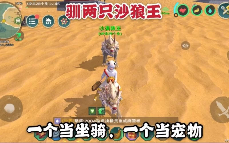 狼王饲料制作方法详解，快速捕捉狼王秘诀