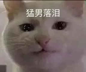 猛男落泪：看完这些照片，你也会心酸