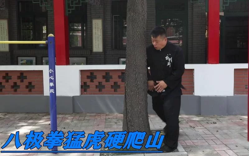 猛虎硬爬山：八极拳精髓，一招制敌的秘密