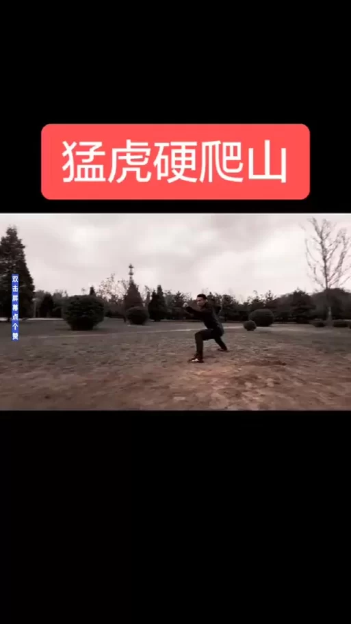 猛虎硬爬山：八极拳精髓，一招制敌的秘密