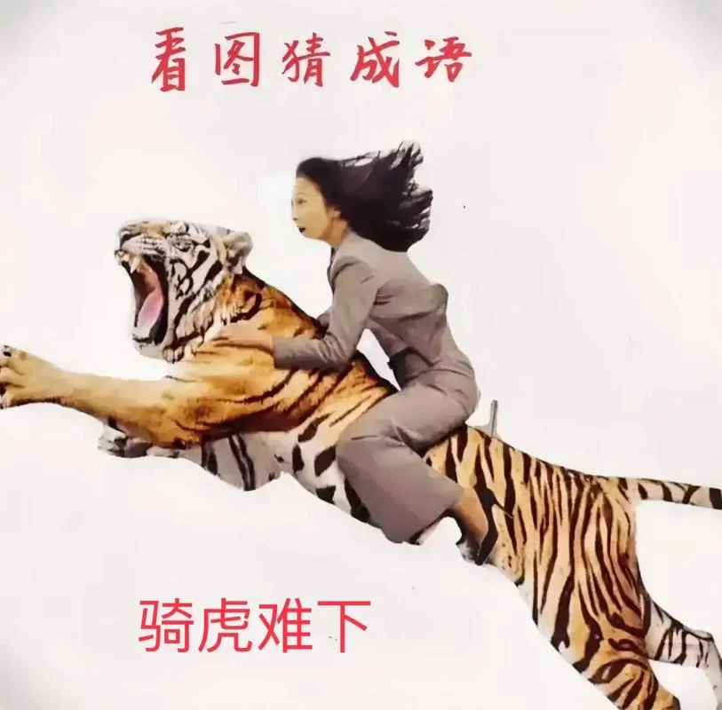 猜成语：一条龙一只老虎，你答对了吗？揭晓答案及成语典故！