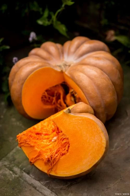 猜谜语：南瓜代表什么生肖？答案让你意想不到