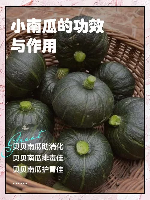 猜谜语：南瓜代表什么生肖？答案让你意想不到