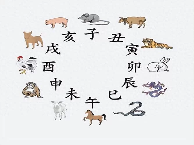 猜谜语：牧猪奴戏打一生肖，你知道答案吗？快来挑战！