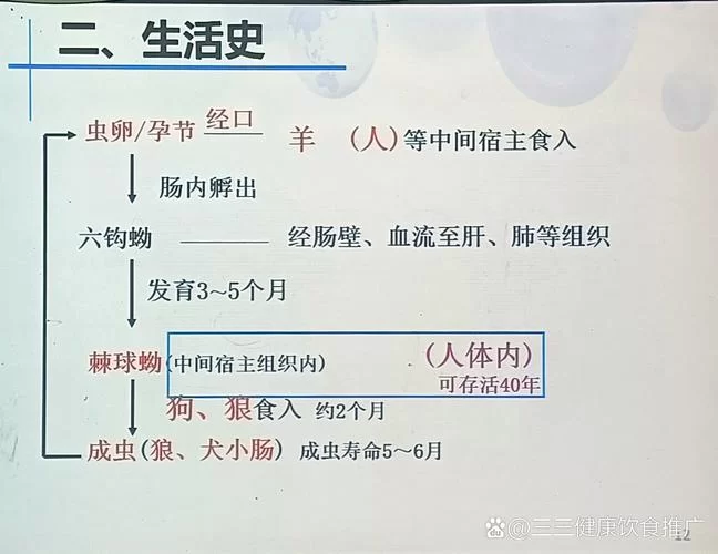 猪肉绦虫病的早期症状是什么?如何判断自己是否感染了? 猪肉绦虫病的早期症状是什么?如何判断自己是否感染了?