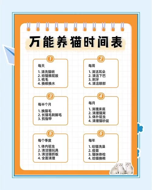 猫卡池是什么意思?详解猫卡池的用途和原理 猫卡池是什么意思?详解猫卡池的用途和原理