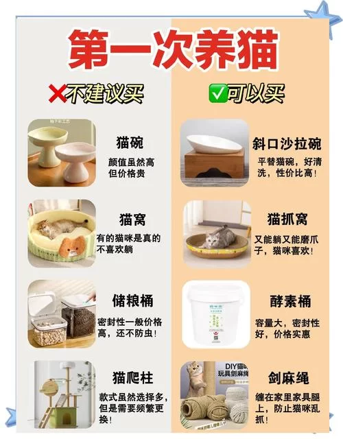 猫卡池是什么意思？详解猫卡池的用途和原理