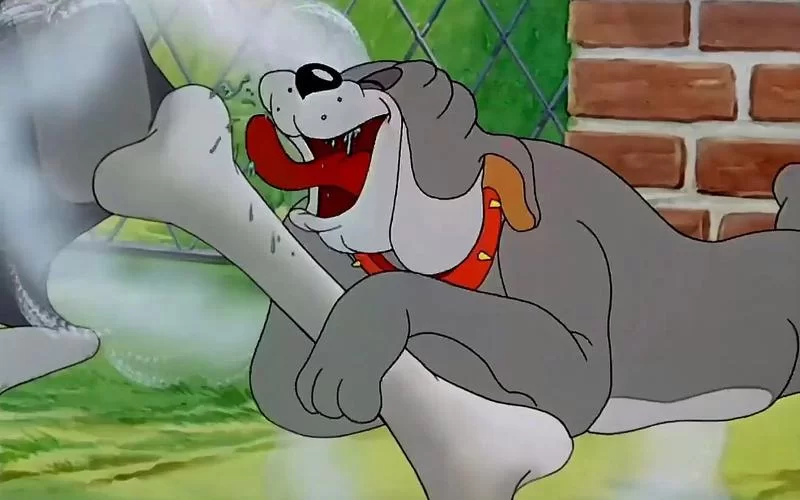 猫和老鼠斯派克:动画里最忠诚的守护者! 猫和老鼠斯派克:动画里最忠诚的守护者!