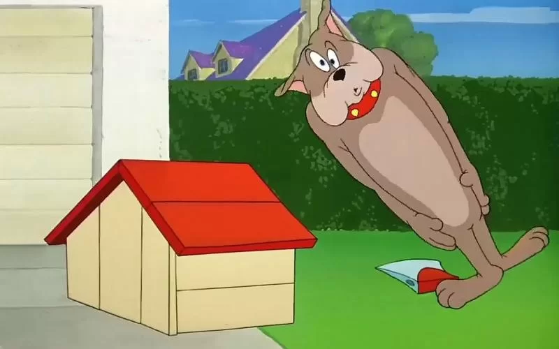 猫和老鼠斯派克：动画里最忠诚的守护者！