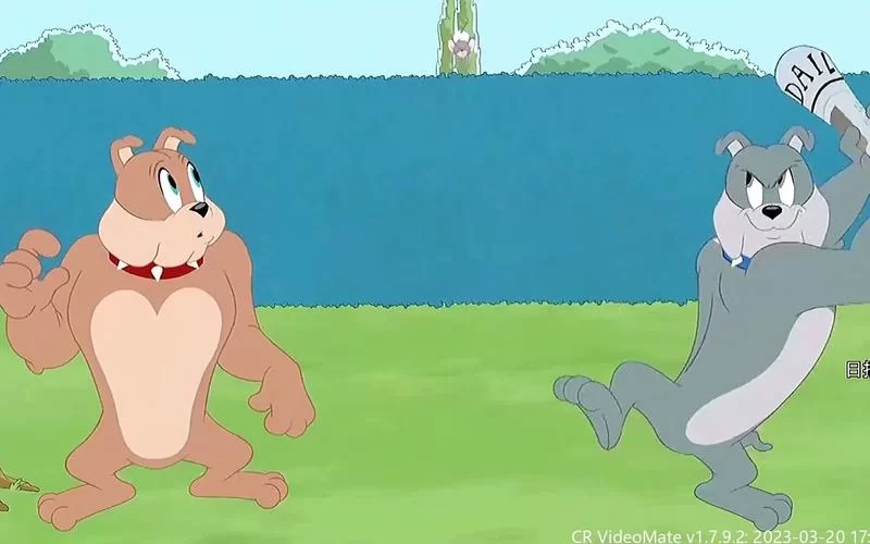 猫和老鼠斯派克：动画里最忠诚的守护者！