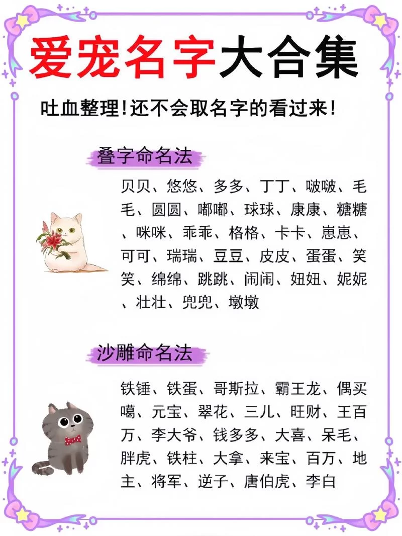 猫咪地域网名入口大全:好听又独特的猫咪网名推荐 猫咪地域网名入口大全:好听又独特的猫咪网名推荐