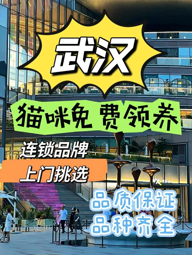 猫咪官网app最新版：超多猫咪等你领养！