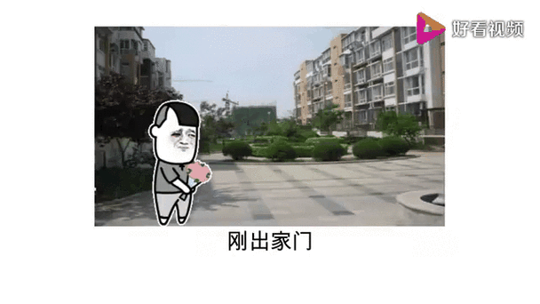 猫咪段子官网下载最新版：每日更新，欢乐无限