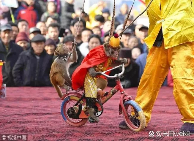 猴戏的含义是什么？深入解读猴戏的文化内涵