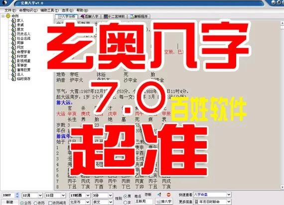 玄奥八字手机版免费下载：快速精准算命软件