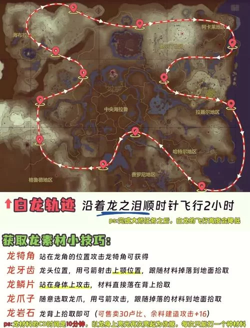 王国之泪奥尔汀大化石任务怎么做？新手必看攻略
