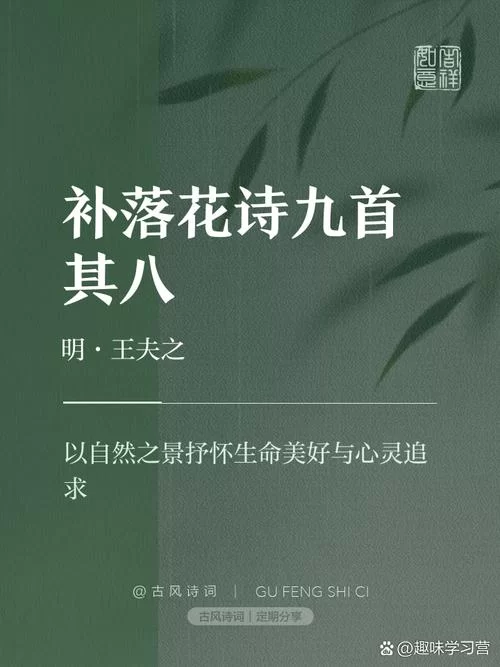 王夫之对美感的独到见解：“现量”的解释