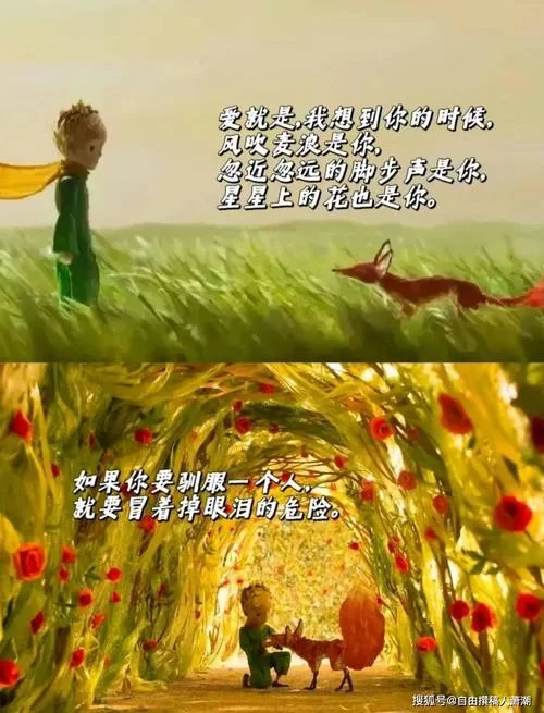 王子的困境：现代王子如何平衡责任与自由？