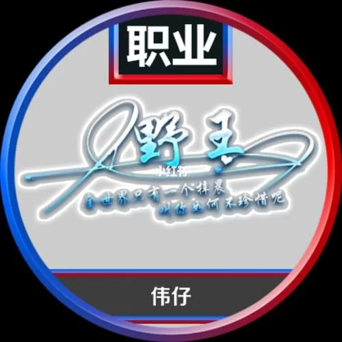 王者五黑头像怎么设置：简单步骤教你快速设置