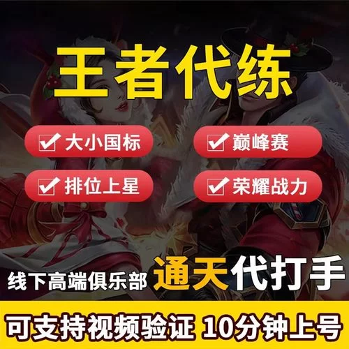 王者荣耀代打平台接单：专业代练，高效率完成订单