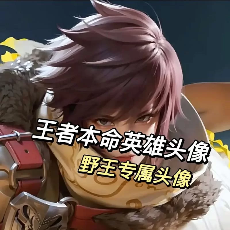王者荣耀头像大全：超酷炫游戏头像等你来换！