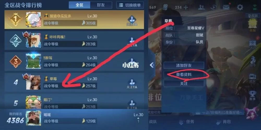 王者荣耀怎么搜索不出战队？四个原因轻松解决！