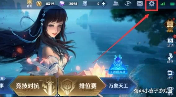 王者荣耀战绩如何隐藏？快速设置保护个人隐私