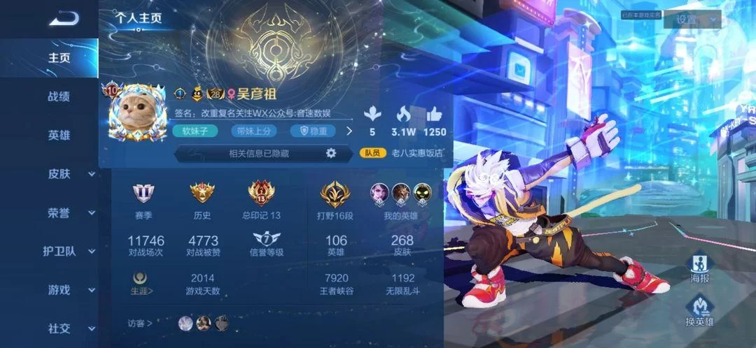 王者荣耀空白代码复制技巧：教你玩转游戏个性化设置