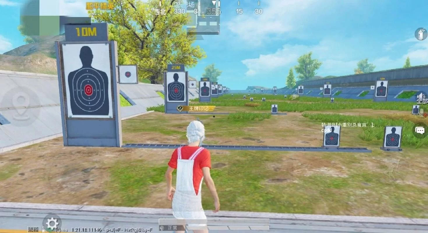 玩转和平精英：手机参数修改方法详解及注意事项