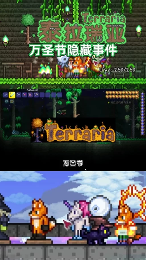 玩转泰拉瑞亚模组手机版：简单安装，乐趣无限