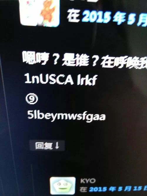 琉璃神社神秘代码的真相：网友热议不断！