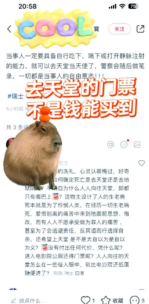 瑞士安乐死费用是多少？影响价格的因素有哪些？