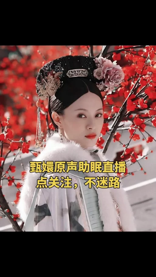 甄嬛传主题曲歌词及含义：解读歌曲背后的故事