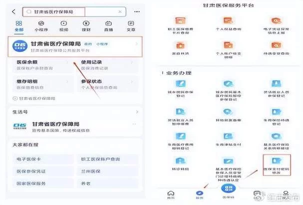甘肃医保服务平台详解：医保查询、缴费、报销全攻略