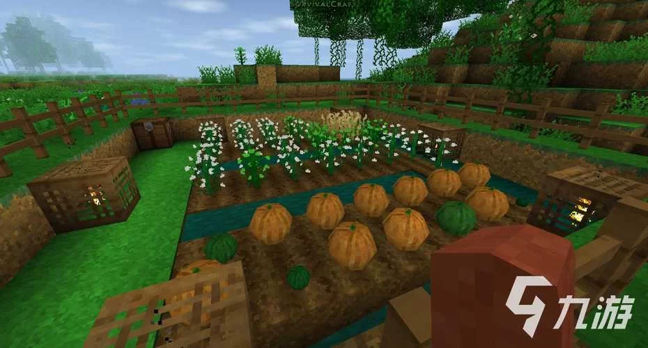 生存战争野人岛下载：呆呆玩推荐版，超好玩