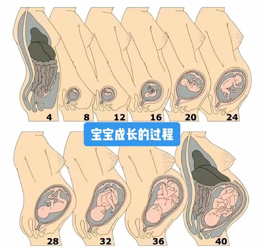 生孩子合集：宝妈必看！完整分娩过程记录
