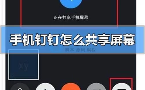 电脑版钉钉共享屏幕教程，一看就会！