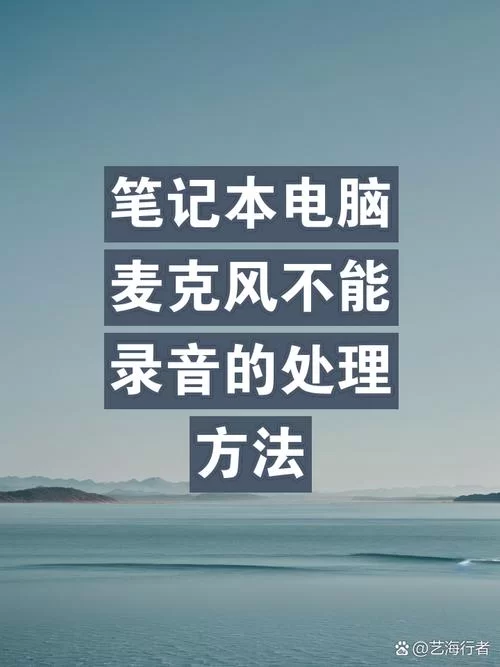 电脑麦克风被占用怎么解决？实用技巧分享