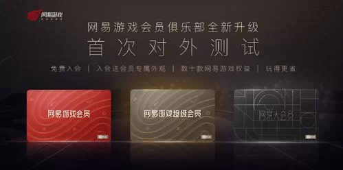 畅游VIP会员权益详解：游戏特权及更多惊喜