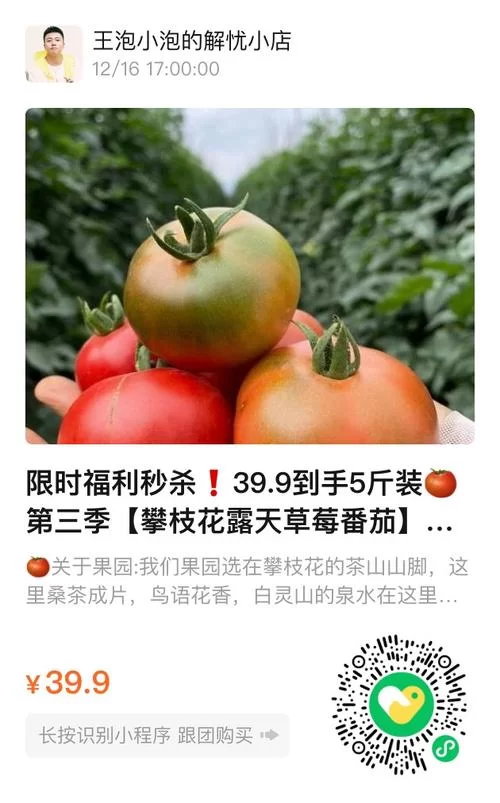 番茄快搜：清爽简洁，给你不一样的搜索感受！