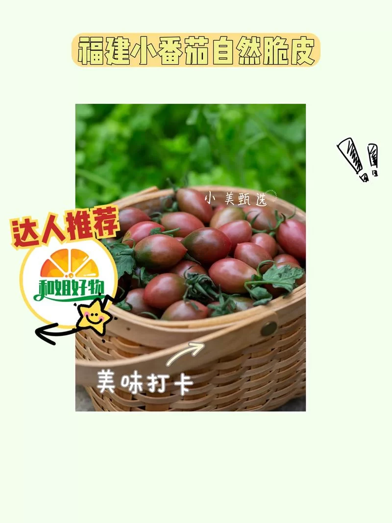 番茄快搜：清爽简洁，给你不一样的搜索感受！