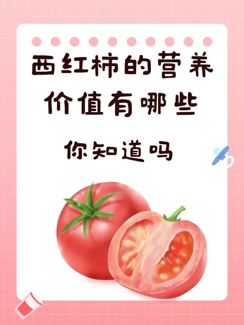 番茄快搜：清爽简洁，给你不一样的搜索感受！