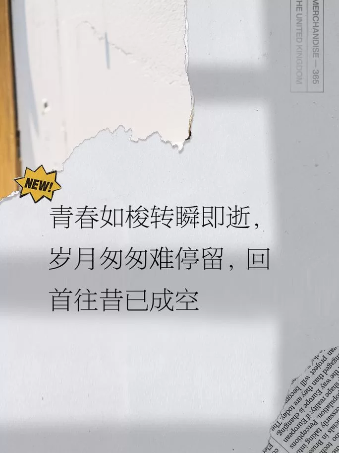 疑是故人来：青春年华，那些难忘的瞬间
