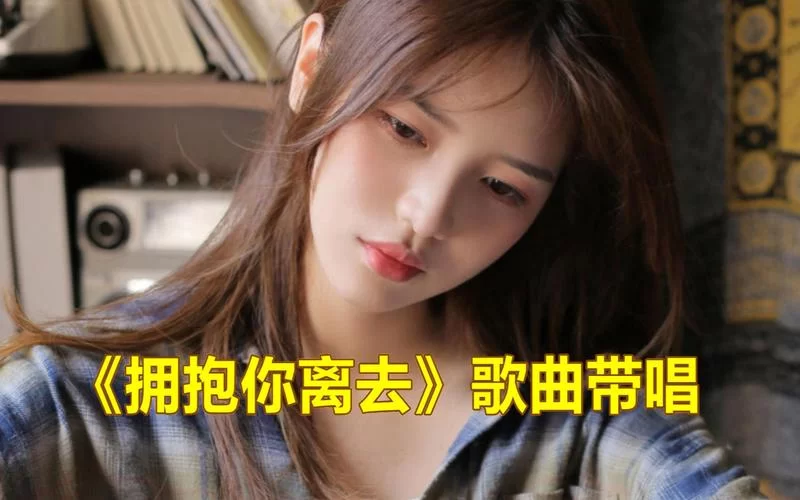 痛彻心扉的告别：详解歌曲拥抱着你离去