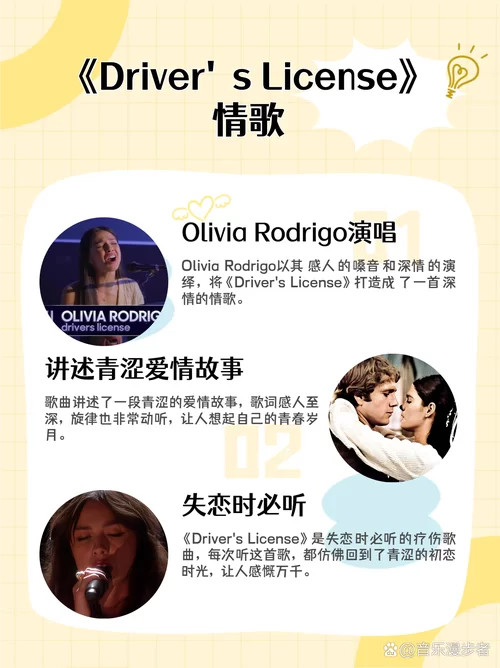 痴情玫瑰花歌曲赏析：动人旋律与深情歌词