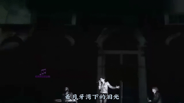 痴情玫瑰花歌曲赏析：动人旋律与深情歌词