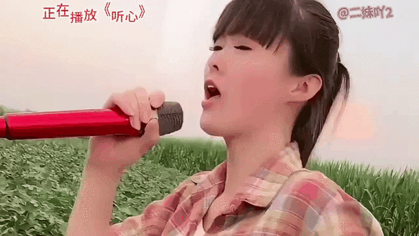 痴情玫瑰花歌曲赏析：动人旋律与深情歌词