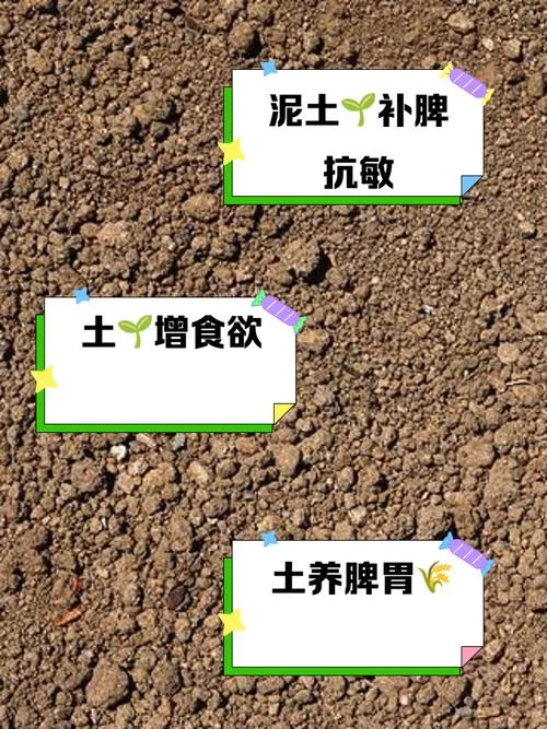 白土有什么用？揭秘白土在不同领域的应用