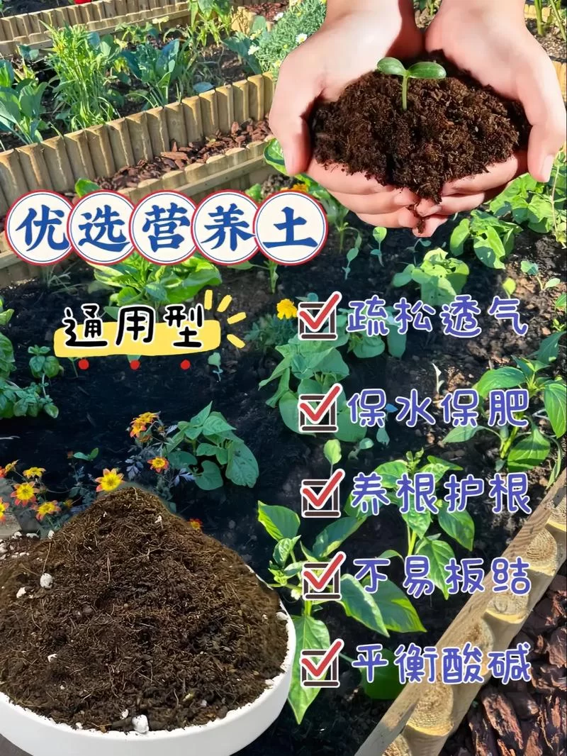 白土有什么用？揭秘白土在不同领域的应用